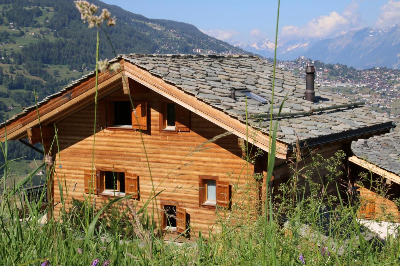 Christoph Standing & Calm Chalet 10 Pers By Alpvision Residences Veysonnaz Εξωτερικό φωτογραφία